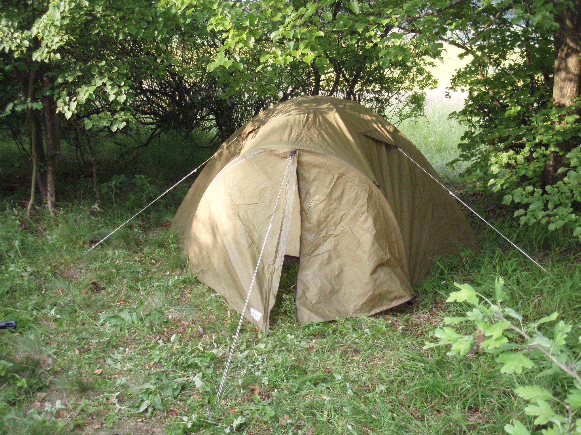 P6200002.JPG