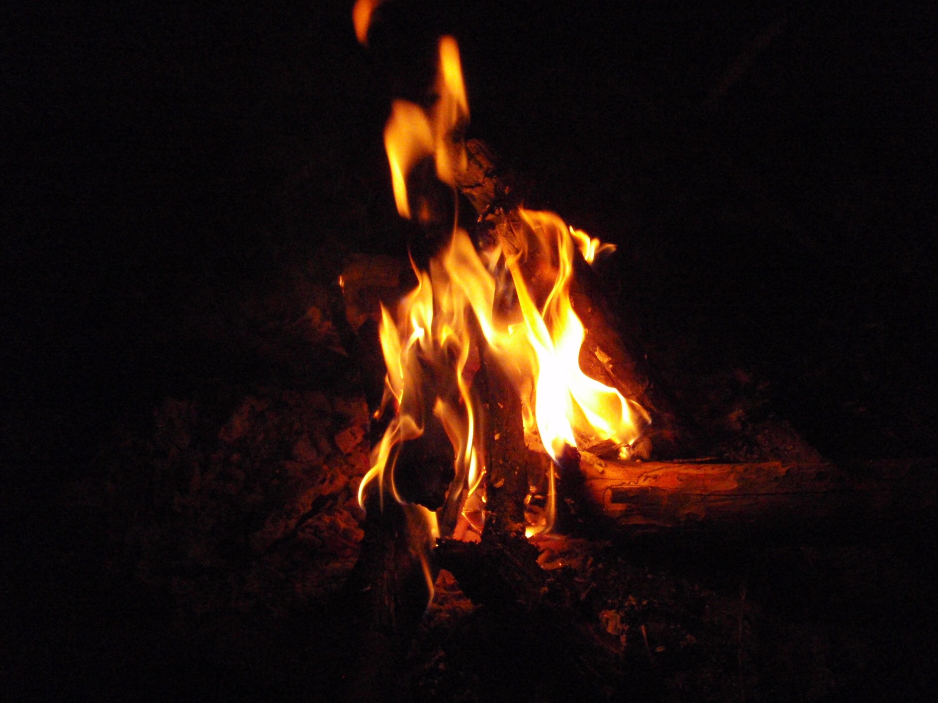 P6200009.JPG