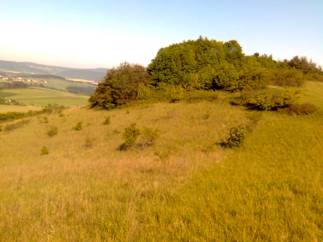 Prasečák (pohled zezhora).jpg