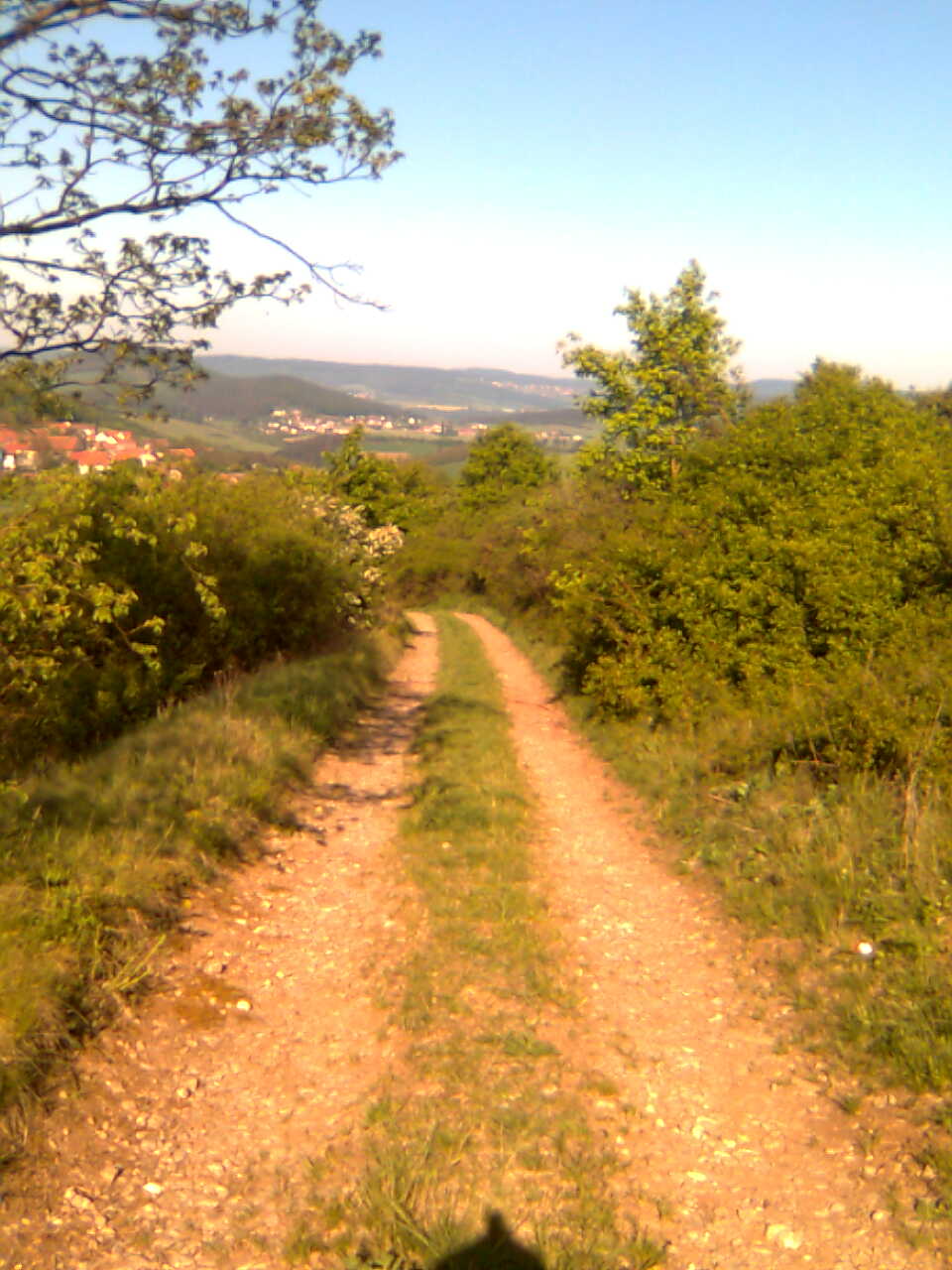 Cesta z Prasečáku.jpg